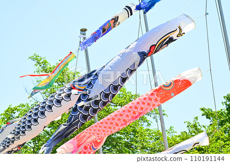 Carp streaming in the wind 110191144
