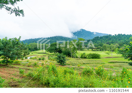 Green with Sand bunkers on Golf course Green with Sand bunkers on Golf course 110191544