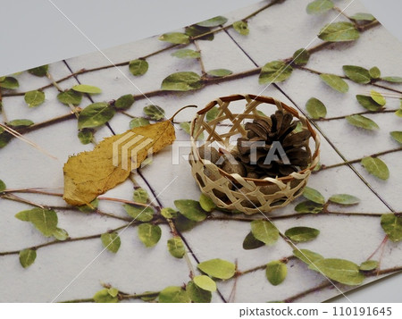 Image of autumn 110191645