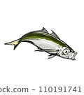 fish  110191741