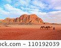 Wadi Rum, a beautiful desert area in Jordan 110192039