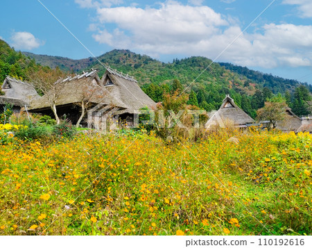 Village with thatched roofs in autumn (Miyama-cho, Nantan City) Village with thatched roofs in autumn (Miyama-cho, Nantan City) 110192616