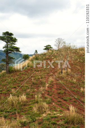 Path to the volcano peak. Mountain trail. 110192831