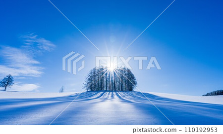 冬季輕度七棵樹 110192953