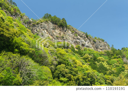 春天的富山，岐阜縣川邊町 110193191