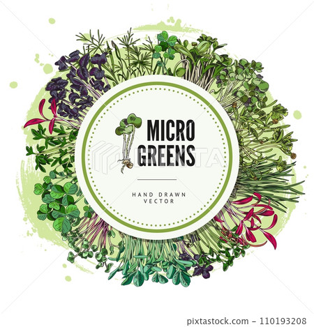 Hand drawn round decorative frame with different micro-green sprouts 110193208