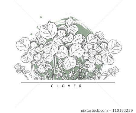 Clover microgreen, vector design composition on white, sketch style. Clover microgreen, vector design composition on white, sketch style. 110193239