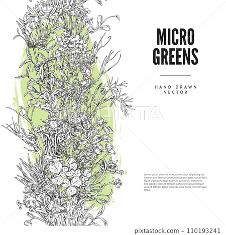 Vertical seamless border with hand drawn different micro green sprouts 110193241