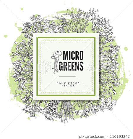 Various microgreens sprouts round frame with square space for text. Various microgreens sprouts round frame with square space for text. 110193242