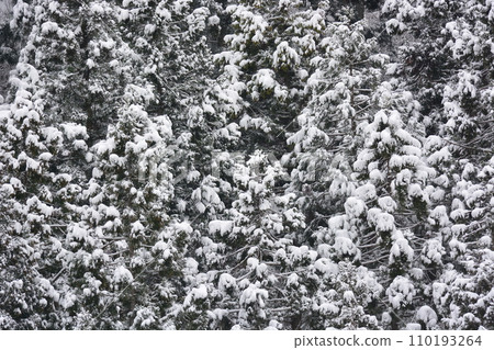 snowy fields and mountains 110193264
