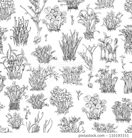 Seamless pattern with hand drawn monochrome different micro-green sprouts Seamless pattern with hand drawn monochrome different micro-green sprouts 110193331