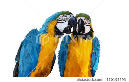 transparency Polygon Graphics Blue and yellow two macaw parrot illustration 110193393