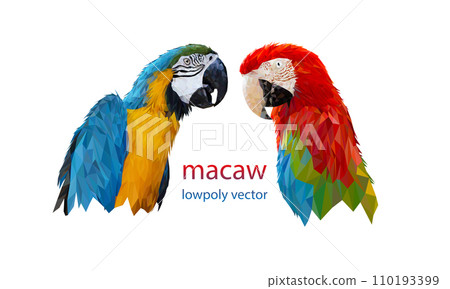 Polygon Graphics two bird macaw parrot illustration transparency Polygon Graphics two bird macaw parrot illustration transparency 110193399