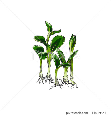 Hand drawn leaves on stems with roots sketch style, vector illustration Hand drawn leaves on stems with roots sketch style, vector illustration 110193410