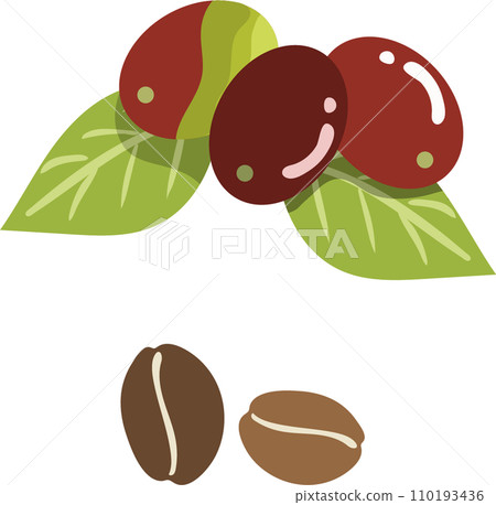 咖啡漿果和咖啡豆的插圖 咖啡漿果和咖啡豆的插圖 110193436