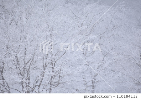 frosty day frosty day 110194112