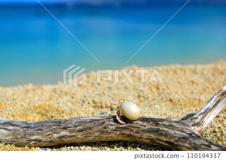 Okinawa's blue sea and hermit crabs Okinawa's blue sea and hermit crabs 110194337