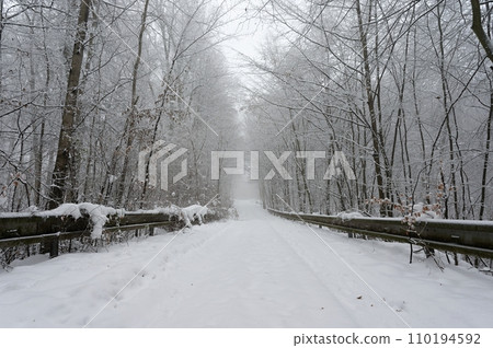 Snowy road with trees. Dangerous driving in the snow in winter. Concept for traffic and bad weather. Snowy road with trees. Dangerous driving in the snow in winter. Concept for traffic and bad weather. 110194592