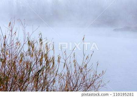 Foggy Serenity 110195281