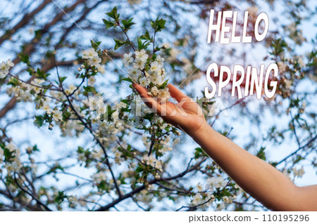Spring banner. Hello, Spring. The beginning of the spring season. Blooming apple trees Spring banner. Hello, Spring. The beginning of the spring season. Blooming apple trees 110195296