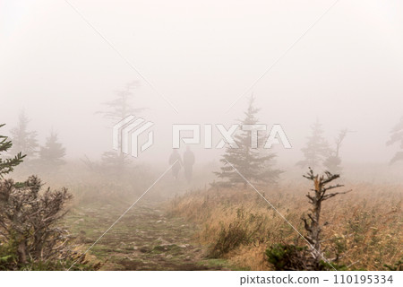 Mountain scenic trail after rain Green forest hill covered by fog Cape Breton Highlands National Park Nova Scotia Canada Mountain scenic trail after rain Green forest hill covered by fog Cape Breton Highlands National Park Nova Scotia Canada 110195334