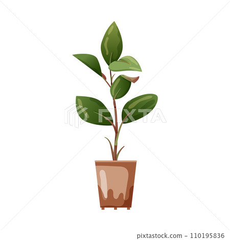 Houseplant plant growing in pots. Beautiful home decorations, plants isolated on white background. Cartoon flat illustration. 110195836