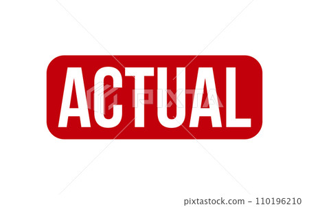 Actual Rubber Stamp Seal Vector 110196210