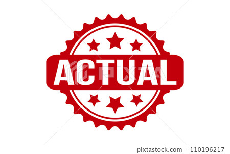 Actual Rubber Stamp Seal Vector 110196217