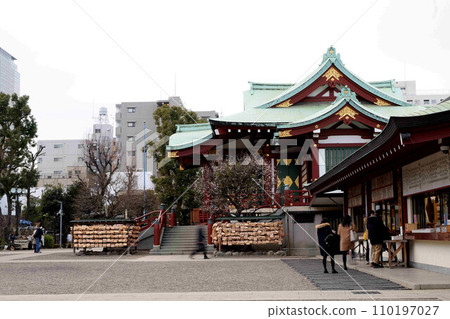梅花盛開的龜戶天神社 梅花盛開的龜戶天神社 110197027
