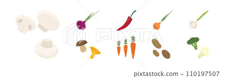 Harvest with Fresh and Ripe Organic Food and Product Vector Set 110197507