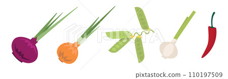 Harvest with Fresh and Ripe Organic Food and Product Vector Set 110197509