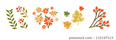 Autumn Leaf and Bright Woodland Flora Vector Set Autumn Leaf and Bright Woodland Flora Vector Set 110197523