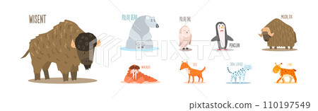 Funny Wild Polar Animal as Fauna of Arctic Vector Set 110197549