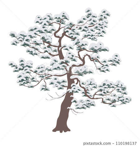 Snow Covered Pine Tree Isolated on White Snow Covered Pine Tree Isolated on White 110198137
