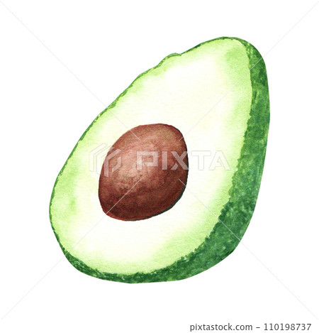 Cross section of avocado fruit. Hand drawn watercolor illustration isolated on white background. For clip art menu label package Cross section of avocado fruit. Hand drawn watercolor illustration isolated on white background. For clip art menu label package 110198737