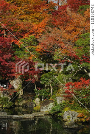 Autumn garden at Baeksaiji Temple 110198748