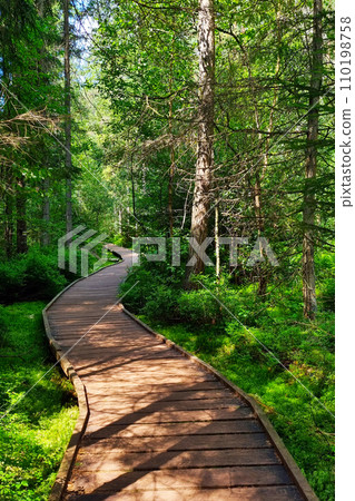 A beautiful hiking trail in a green forest in the mountains. A beautiful hiking trail in a green forest in the mountains. 110198758