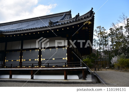 日本春天的京都:仁和寺國寶近堂堂,歷史建築,裝潢精美 日本春天的京都:仁和寺國寶近堂堂,歷史建築,裝潢精美 110199131
