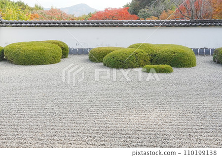 正傳寺的秋天 110199138