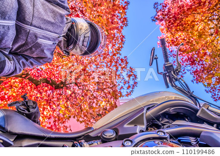 橫濱市都築區的紅葉遊覽 橫濱市都築區的紅葉遊覽 110199486