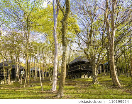 Hakone/Ashi Lake Camp Village / Hakone, Japan Hakone/Ashi Lake Camp Village / Hakone, Japan 110199934