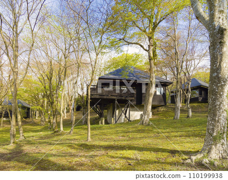Hakone/Ashi Lake Camp Village / Hakone, Japan 110199938