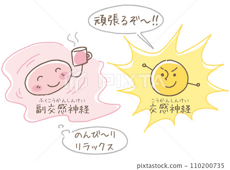 副交感神經和交感神經的功能 110200735