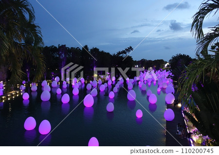 濱海灣花園 濱海灣花園 110200745