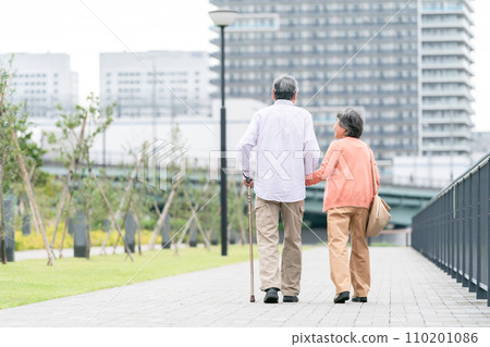 Elderly couple taking a walk, back view 110201086