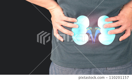 Man suffering from low back pain with kidney anatomy shape. Cause of flank pain include urinary tract infection, kidney infection, kidney stone, an injury or kidney cancer. Nephrology concept. Man suffering from low back pain with kidney anatomy shape. Cause of flank pain include urinary tract infection, kidney infection, kidney stone, an injury or kidney cancer. Nephrology concept. 110201157