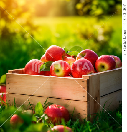AI-generated content. Wooden box of freshly picked red apples. Blurred orchard background with copy space. AI generated 110201307