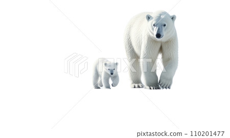 polar bear and baby on the transparent background polar bear and baby on the transparent background 110201477