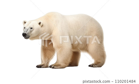 Polar bear on the transparent background 110201484