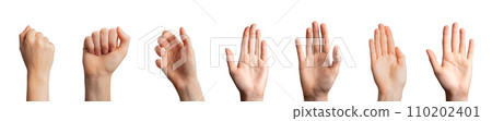 Hand gestures, greeting hi, fist up, hold, palm and clenched fingers set. Arm sign isolated on white Hand gestures, greeting hi, fist up, hold, palm and clenched fingers set. Arm sign isolated on white 110202401